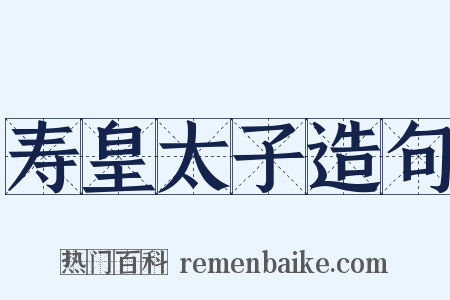 寿皇太子造句是什么意思的图片